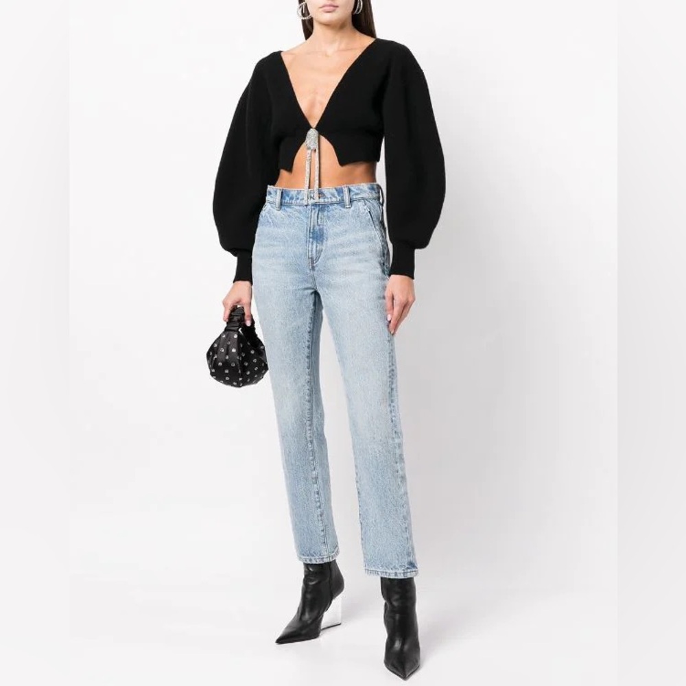 NWT Alexander Wang V Neck Cropped Cardigan w/ Crystal Tie Embellished Sweater XS